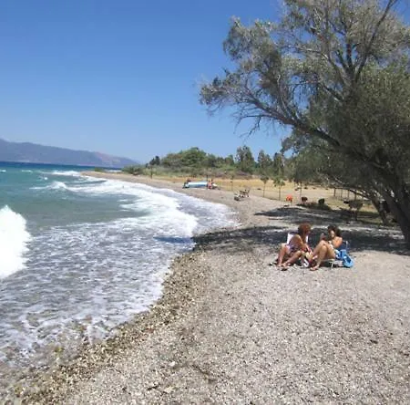 3-zimmer-villa-apartment Am Strand Mit Meerblick Appartement Lampiri (Peloponnese)